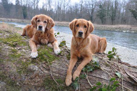 Amira und Aileen an der Reuss
