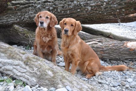 Aileen und Amira an der Reuss