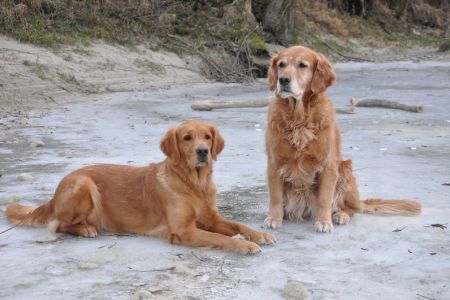 Aileen und Amira an der Reuss