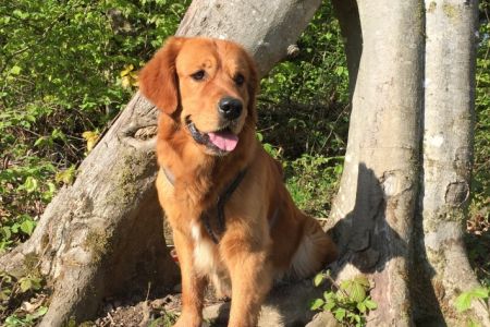 Dylan (m) am 02.05.2019