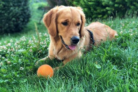 June (Djuna, w) im Juni 2018