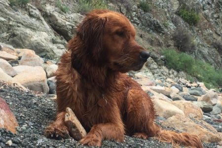 Ben (m) am 06.06.2018