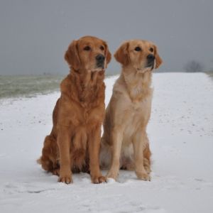 Aileen mit&nbsp;Tochter Csilla&nbsp;(w) am 20.01.2019