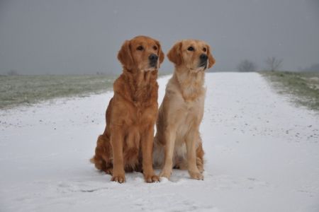 Aileen mit&nbsp;Tochter Csilla&nbsp;(w) am 20.01.2019