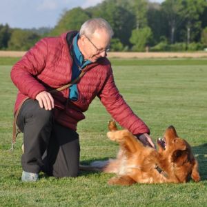Unterwegs mit Tom und Dylan am 14.05.2019 im Birrfeld