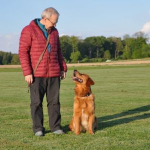 Unterwegs mit Tom und Dylan am 14.05.2019 im Birrfeld