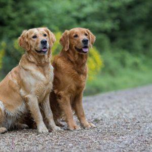 Aillen und Csilla am 21.05.2019