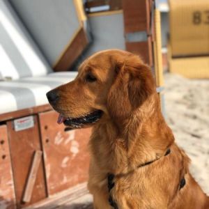 June (Djuna, w) am 09.05.2019