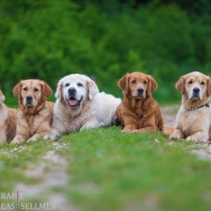 v.l. Ronco, Csilla, Campino, Aileen und Enrico am 22.05.2019