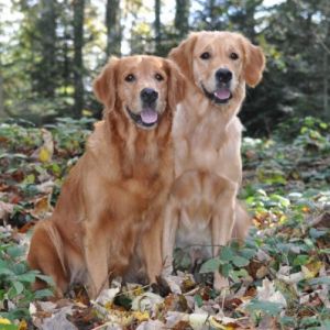 Aileen und Fly auf dem Zugerberg im Oktober 2019