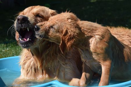 Badeplausch Tango und Hope am&nbsp;31.07.2020